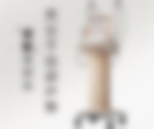 常见问题解答(FAQ)
