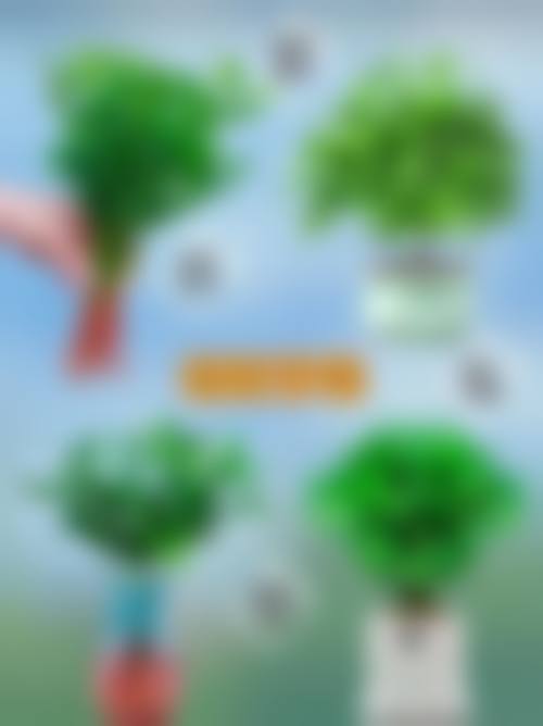 设备环境介绍:层流手术室与高端仪器