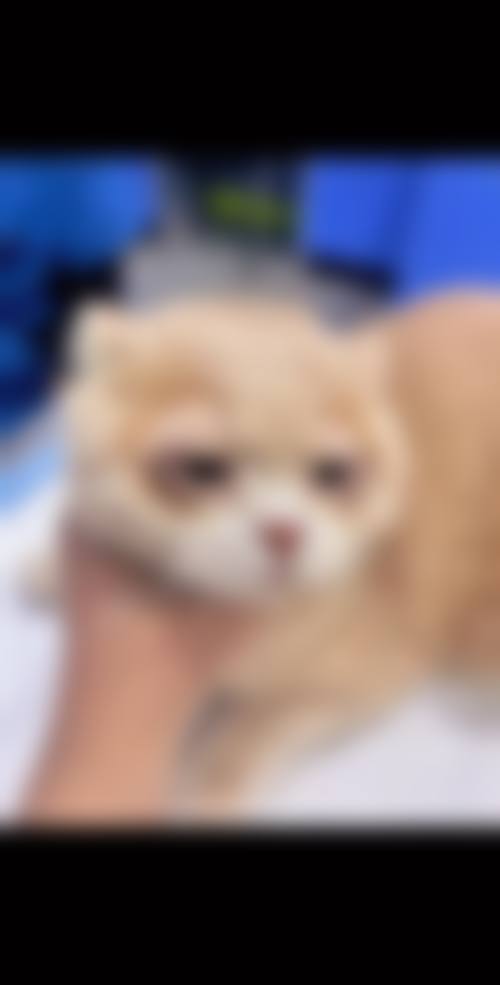 麦迪格眼科医院（成都西安南宁郑州北京柳州）医生团队经验稳定。