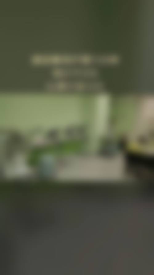 擅长项目详解