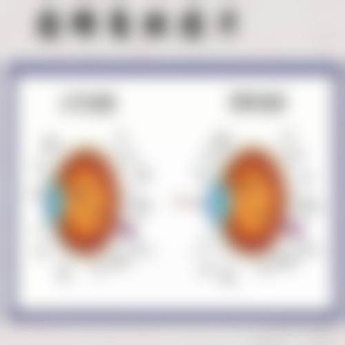 设备与环境介绍:数字化诊疗的硬件支撑