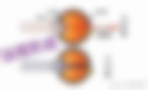 广州爱尔海得视眼科门诊部门诊营业时间。