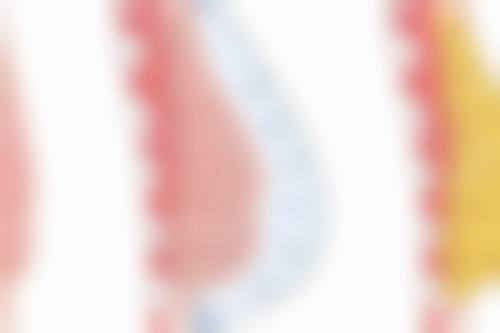 多领域骨干医生团队