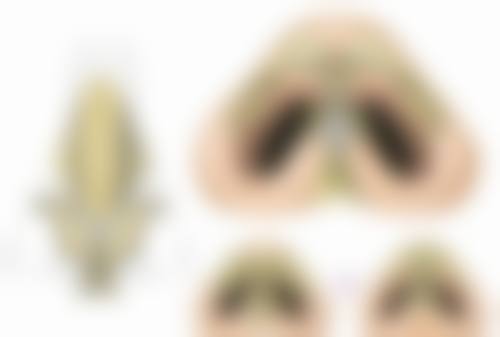 专精团队与就诊流程:从信任到信赖的体验
