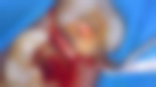 常见问题解答(FAQ)