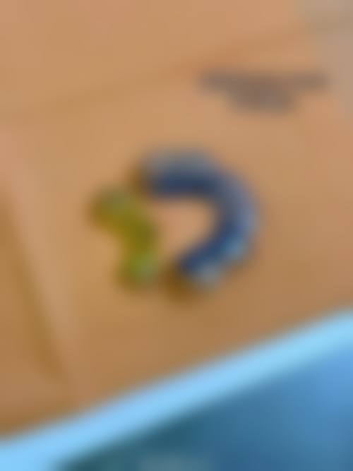 包头海明口腔预约挂号方式。