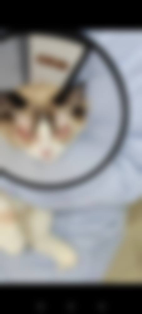 预约优惠活动